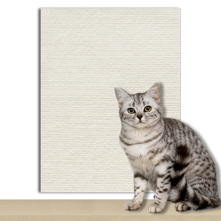 Couch Cat Scratch Guards | Transparent Furniture Protector Mats