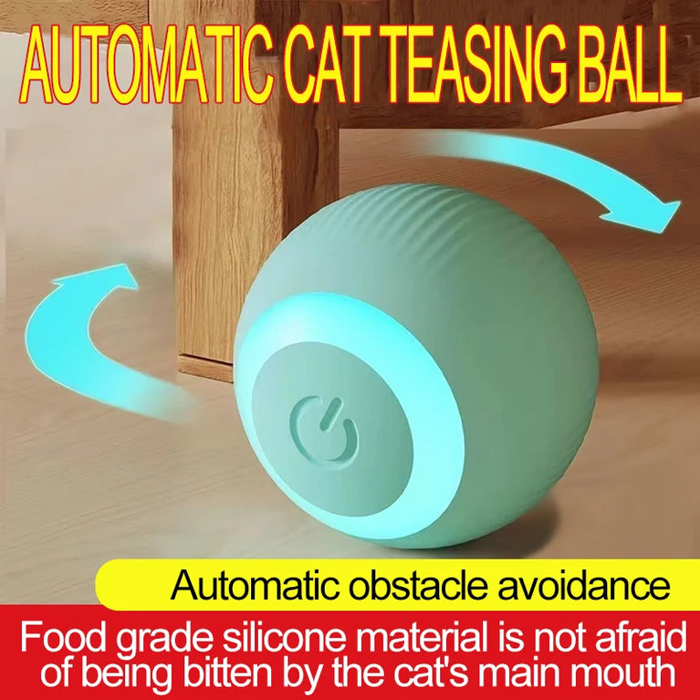 New Interactive Cat Ball Automatic Indoor Electric Roll Silicone Pet Toy MWJ01