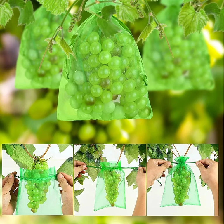 Fruit Protection Netting Bags | Reusable Organza Mesh for Pest & Bird Control