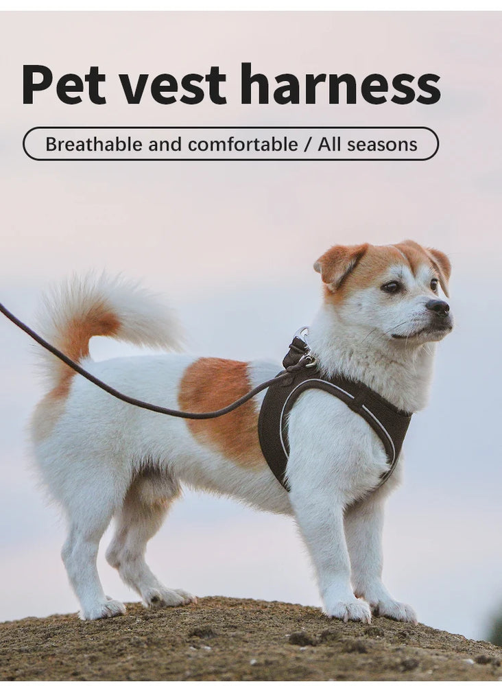 Adjustable Reflective Dog Harness Leash Set Step-In Soft Air Mesh Vest