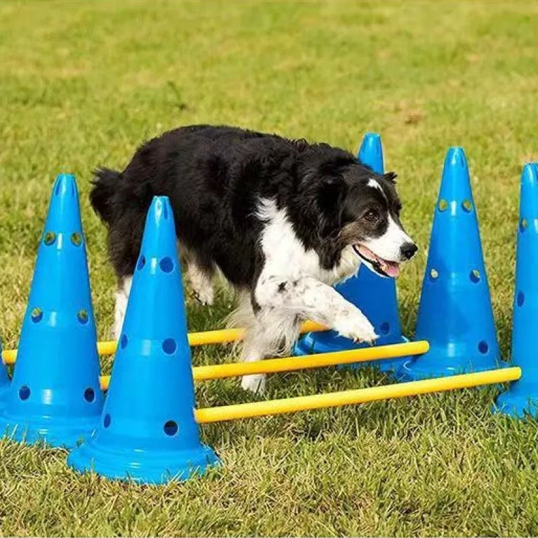 Dog Agility Training Set | Adjustable Hurdle & Jumping Bar