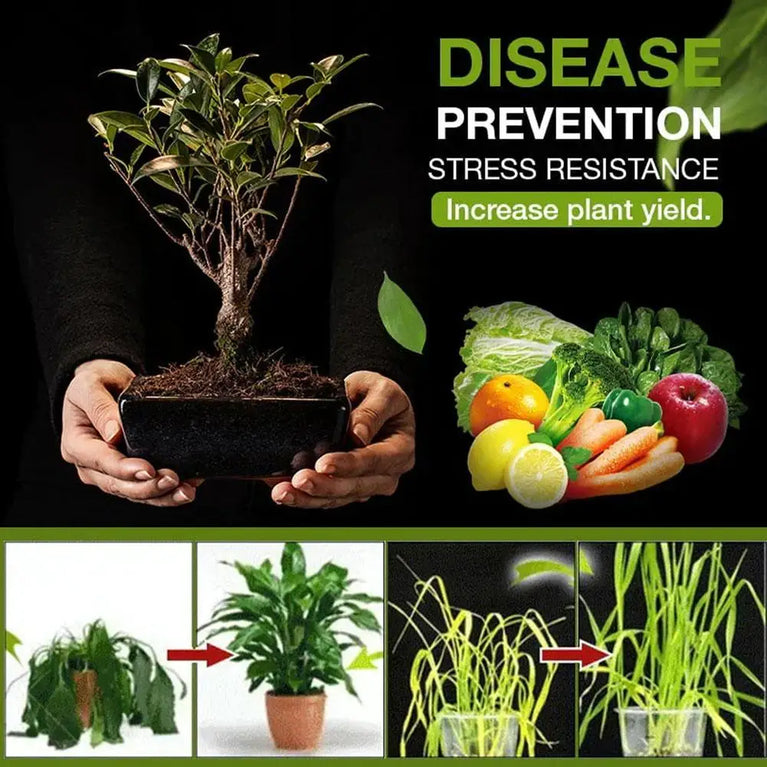 Natural Soil Activator | Rooting Promoter & Growth Loosening Agent