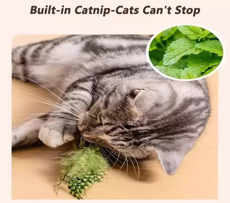Interactive Bird Cat Toy with Chirping Sound & Self Play Fun