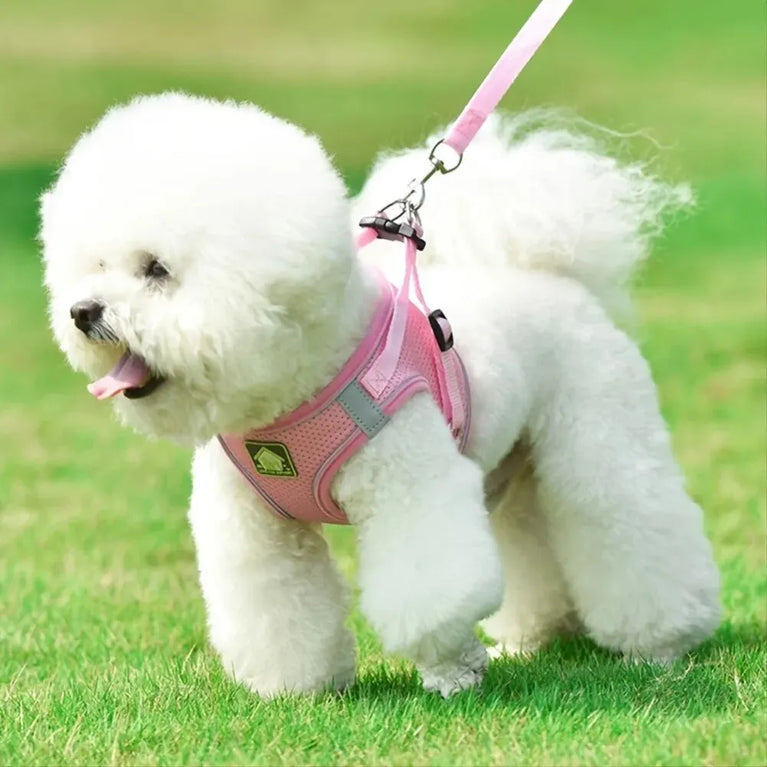 Reflective Breathable Mesh Puppy Dog Harness And Leash Set No Pull Vest
