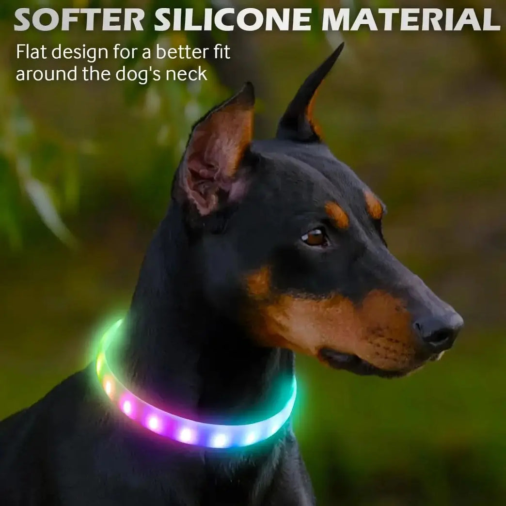 USB Rechargeable LED Glowing Dog Collar 9 Flashing Modes Adjustable