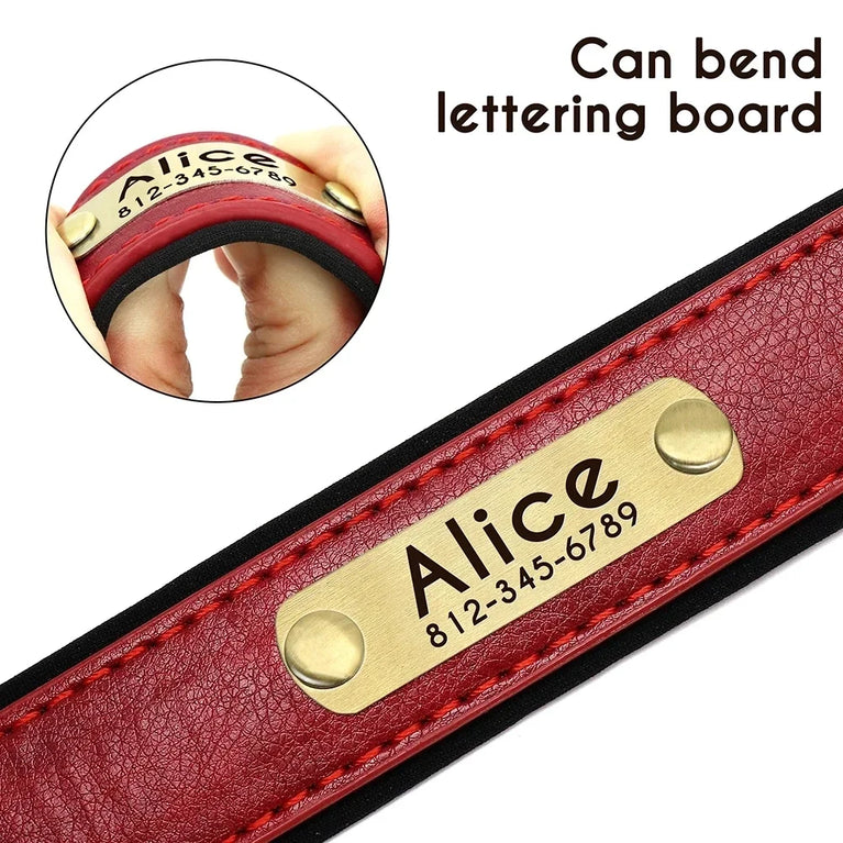 Personalized Leather Dog Collar | Padded ID Nameplate Collar