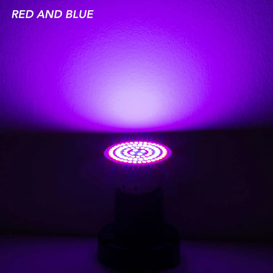 Full Spectrum LED Grow Light Bulb | SMD 2835 Phytolamp for Indoor Cultivation