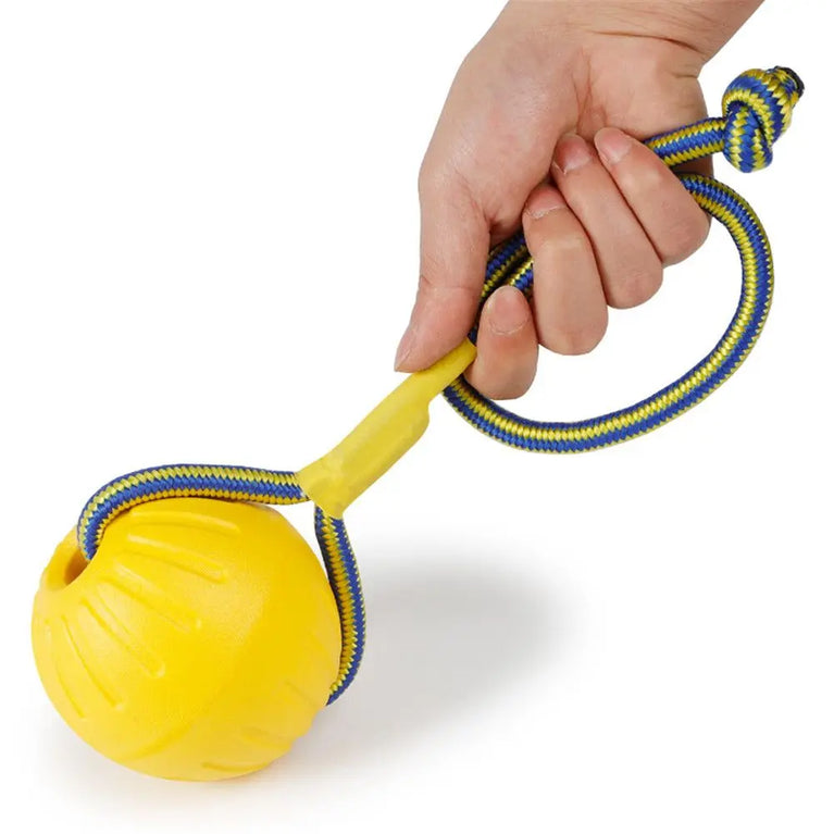 Indestructible Rubber Ball Dog Toy for Fetch Chew Training Play