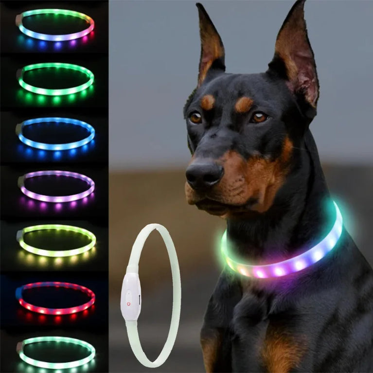 USB Rechargeable LED Glowing Dog Collar 9 Flashing Modes Adjustable