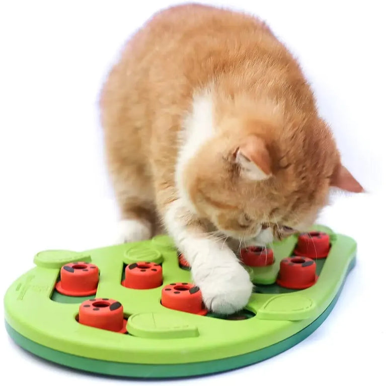 Cat Puzzle Treat Toy Interactive Adjustable Difficulty Plastic Mental Stimulation Feeding Game