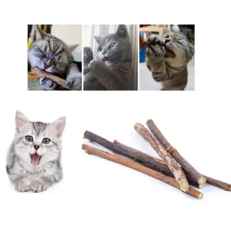 Cat Snack Polygonum Natural Wood Chew Stick Cat Teeth Cleaning Toy Set