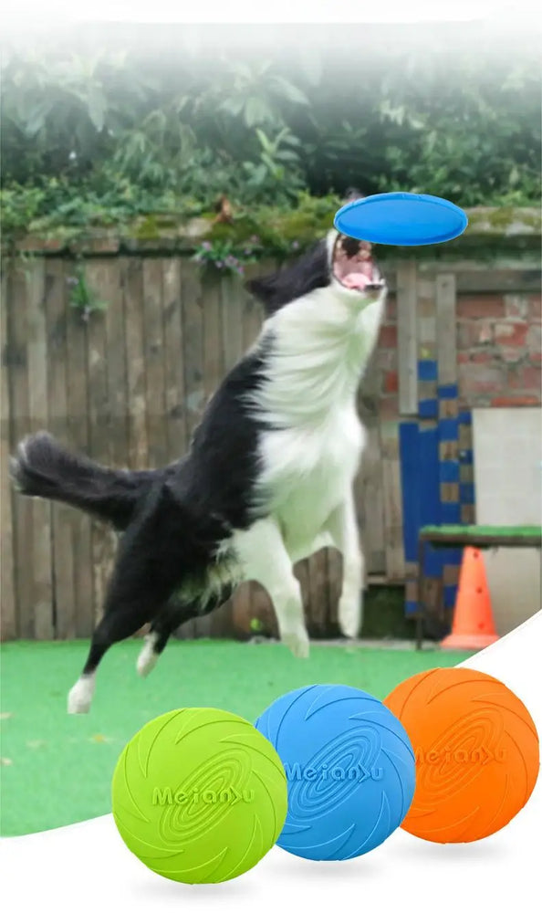 Bite Resistant Flying Disc Dog Toy for Puppy Training Outdoor Game