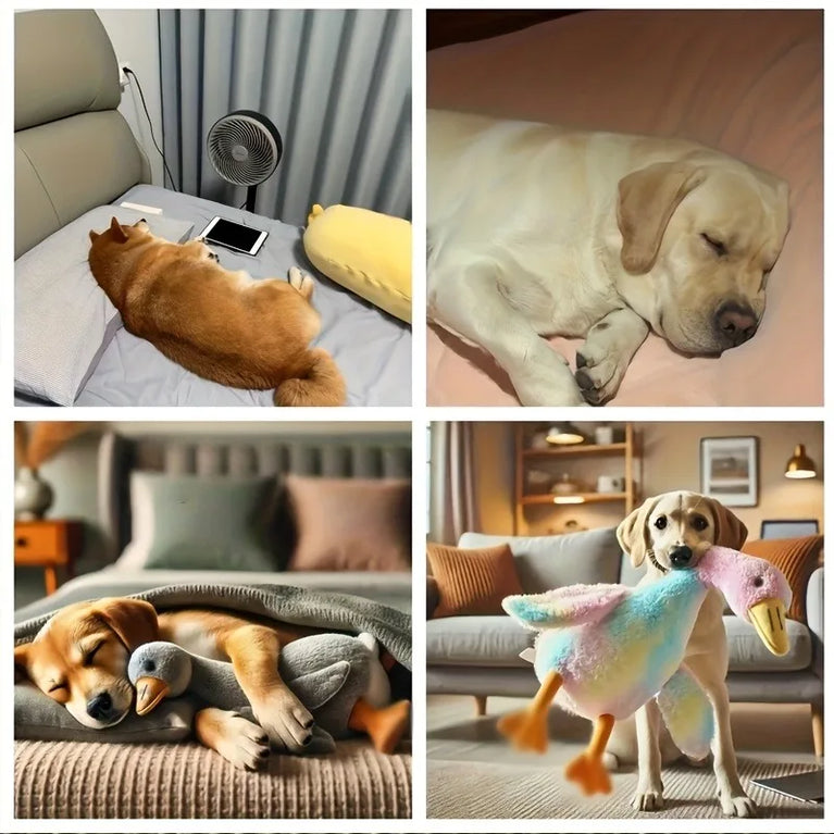 50cm Soft Colorful Duck Plush Toy for Cats Dogs Anxiety Relieving Buddy