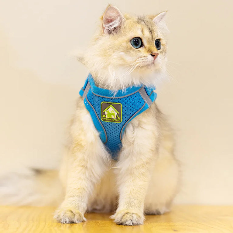 Reflective Breathable Mesh Puppy Dog Harness And Leash Set No Pull Vest