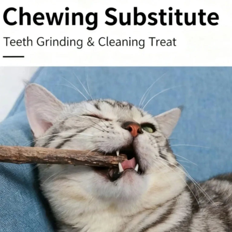 Natural Silvervine Sticks Catnip Chew Teeth Cleaning Dental Molar Cat Toy Set