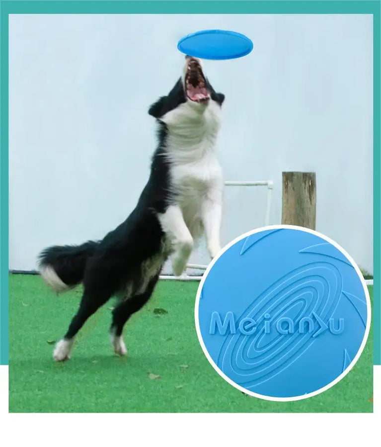 Bite Resistant Flying Disc Dog Toy for Puppy Training Outdoor Game