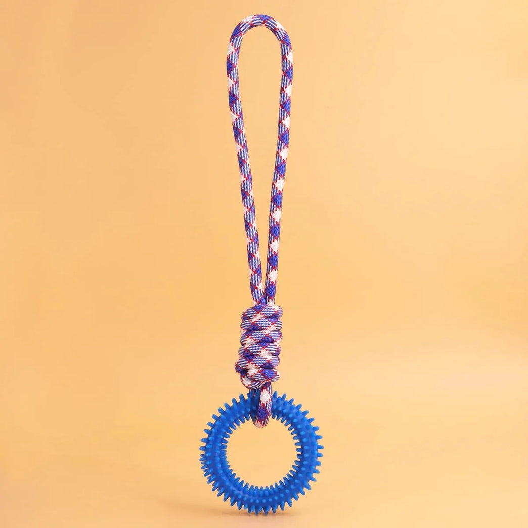 Interactive Training Pet Toy Ring Spiked Dog Chew Teeth Cleaning