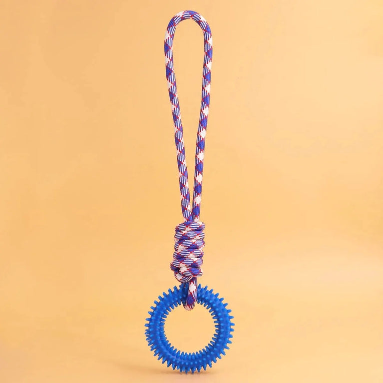Interactive Training Pet Toy Ring Spiked Dog Chew Teeth Cleaning