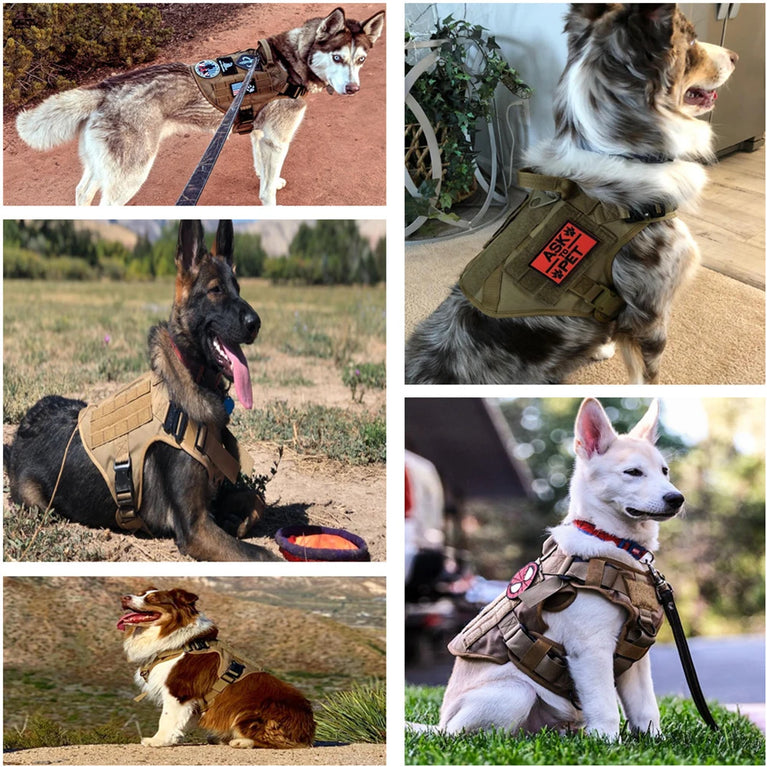 Military Tactical Dog Harness Adjustable Heavy Duty Training Vest For Large Dogs