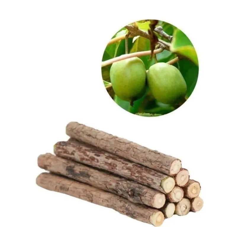 Natural Silvervine Sticks Catnip Chew Teeth Cleaning Dental Molar Cat Toy Set