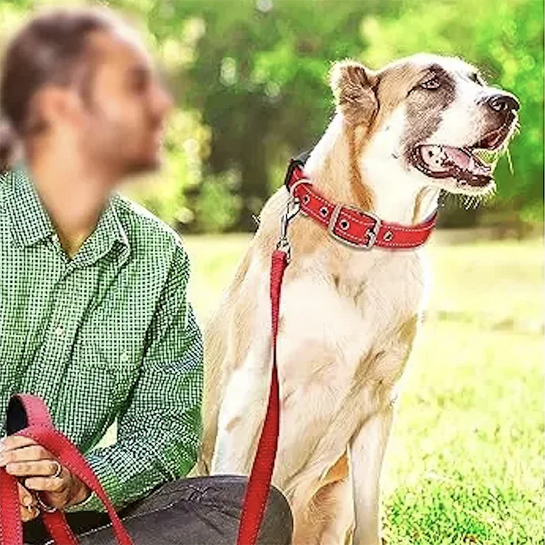 Padded Dog Collars Reflective Adjustable Heavy Duty Nylon Wide