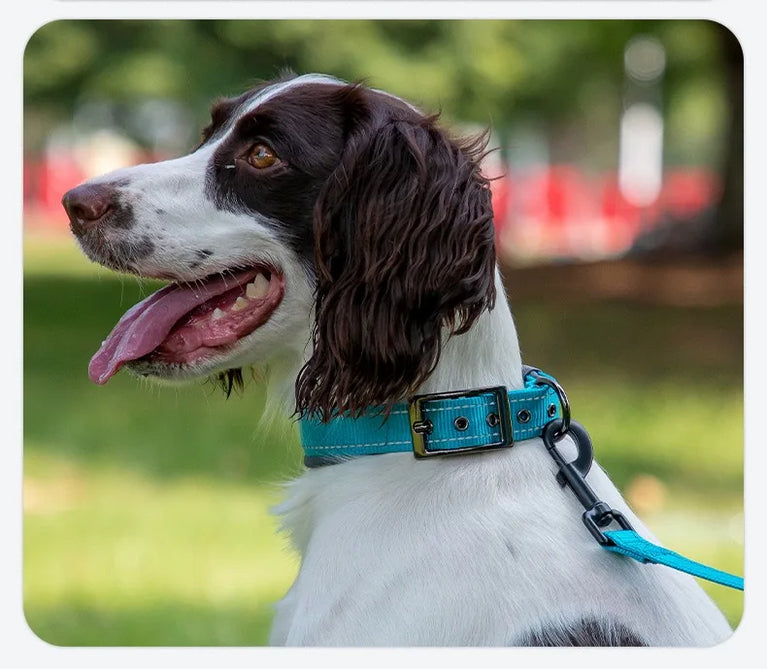 Padded Dog Collars Reflective Adjustable Heavy Duty Nylon Wide