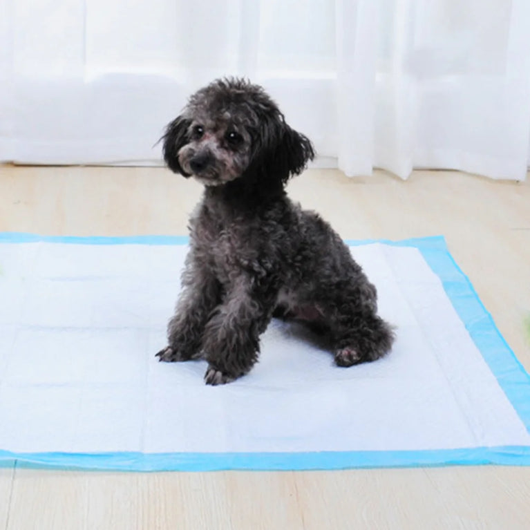 Super Absorbent Pet Diaper Dog Training Pee Pads Quick-dry Mat