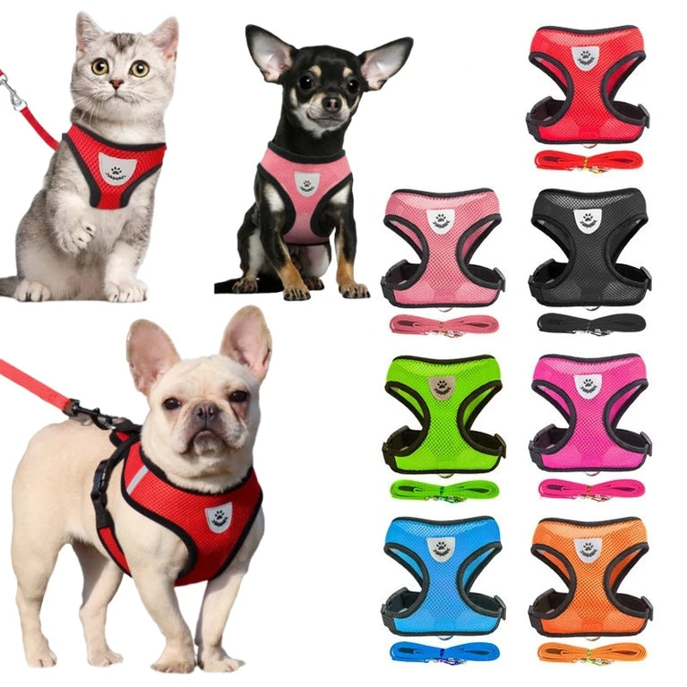 Breathable Mesh Cat Small Dog Harness And Leash Kitten Puppy Adjustable Vest Set