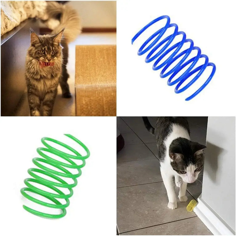 Cat Spring Toy Plastic Spiral Coil Colorful Interactive Kitten Hunting Swatting Pet Toy Set