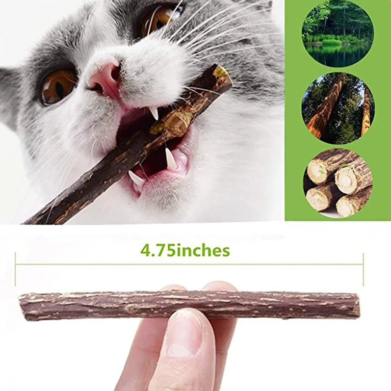 Natural Silvervine Sticks Catnip Chew Teeth Cleaning Dental Molar Cat Toy Set