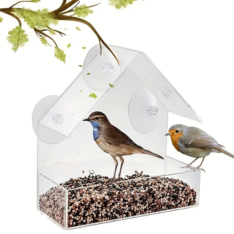 Clear Acrylic Window Bird Feeder | Transparent Wall-Mounted Wildlife Station