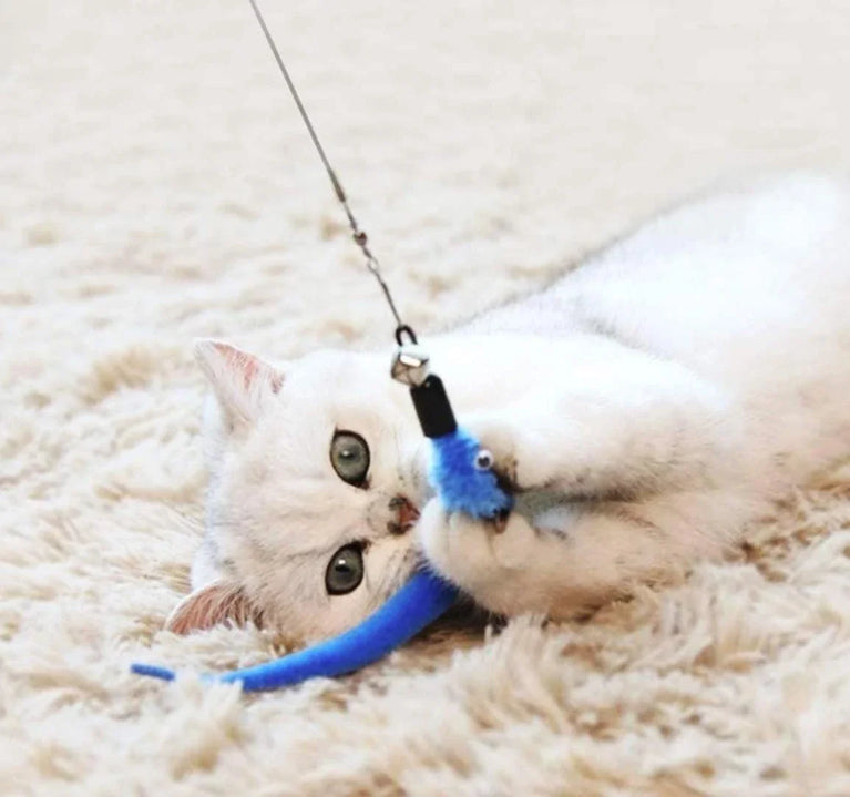 11pcs Replacement Cat Feather Toy Set Retractable Stick Kit Toy