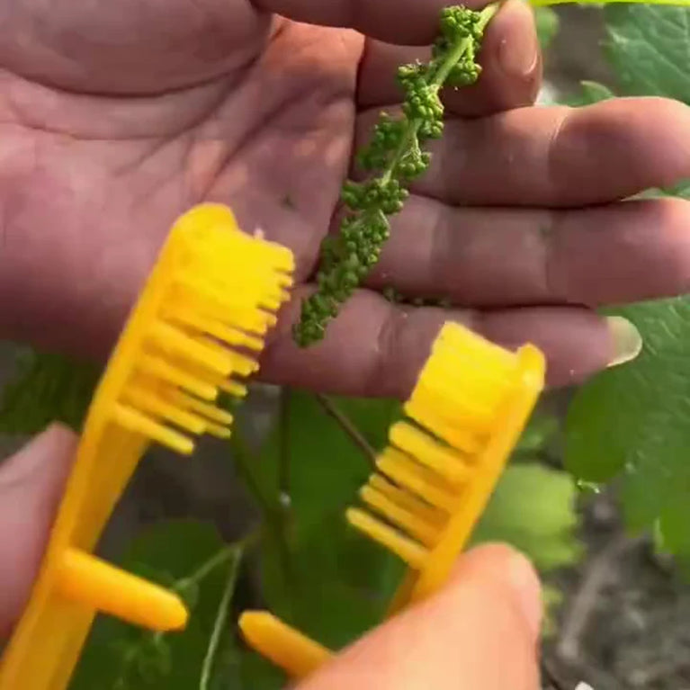 6.69 Inch Handheld Grape Pruning Clip Tool for Garden Care