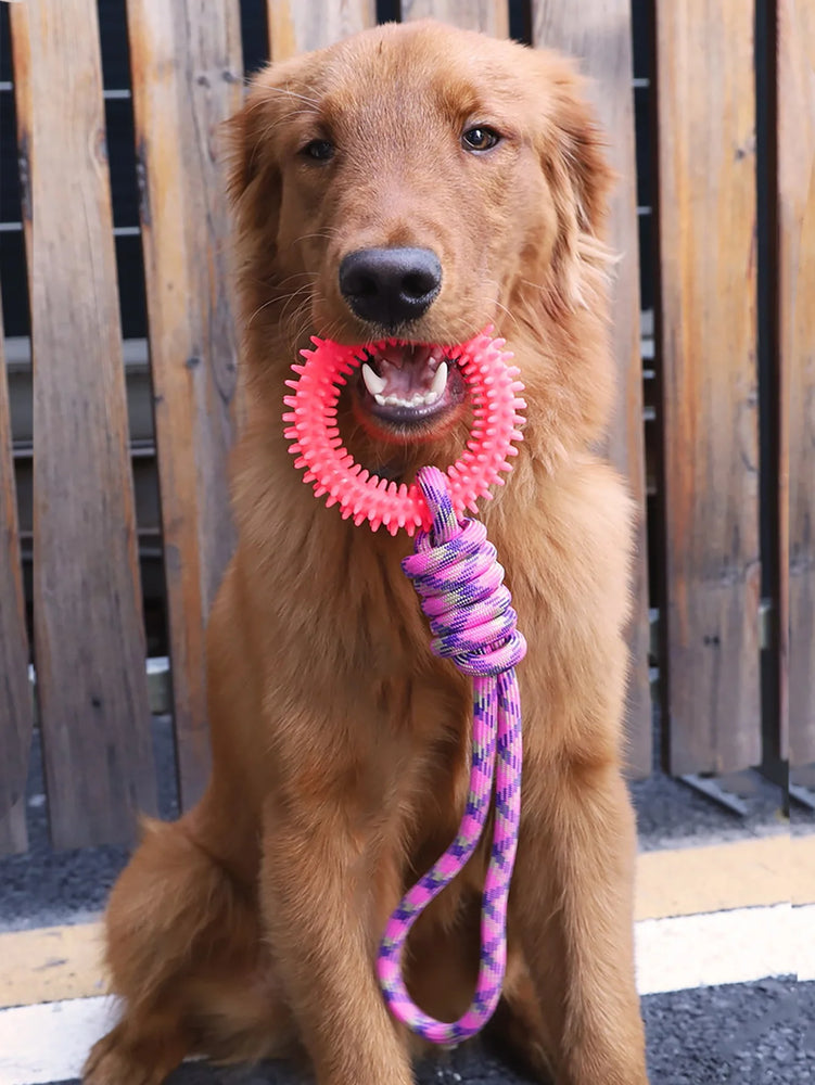 Interactive Training Pet Toy Ring Spiked Dog Chew Teeth Cleaning
