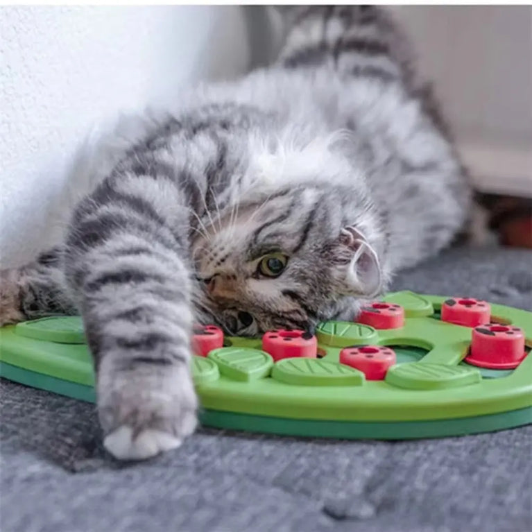 Cat Puzzle Treat Toy Interactive Adjustable Difficulty Plastic Mental Stimulation Feeding Game