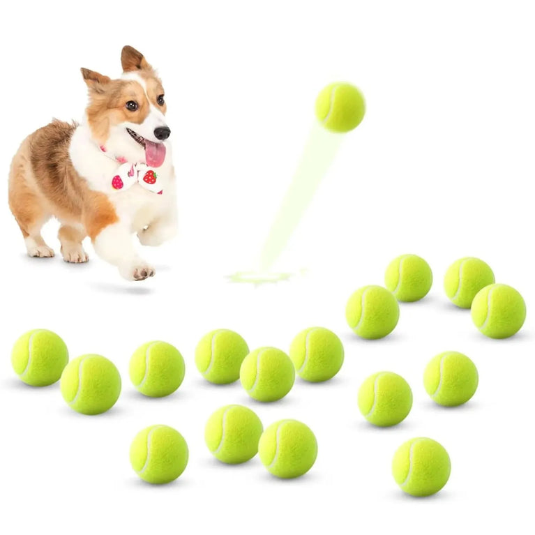 Tennis Balls for Dogs 2-Inch Compatible Automatic Ball Launchers