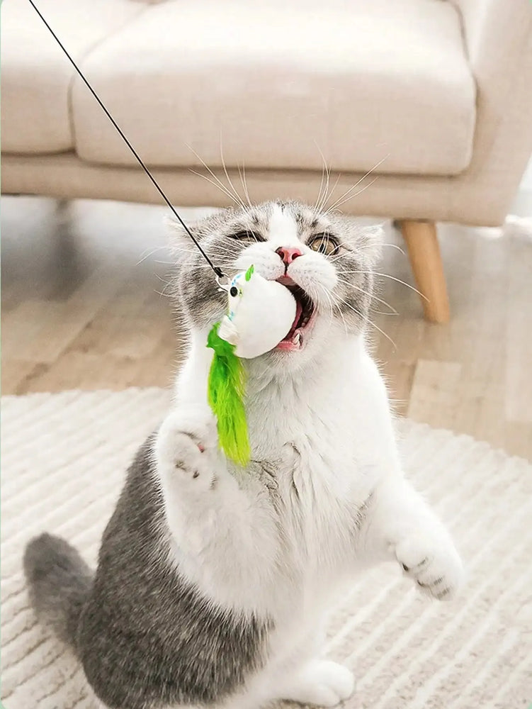 Cat Interactive Toy Simulate Bird Feather Bell Funny Cat Toy