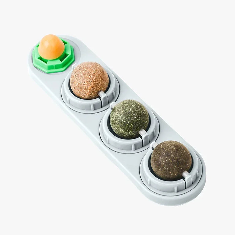 4 in 1 Rotating Catnip Silver Vine Ball Wall Stick Toy Kit