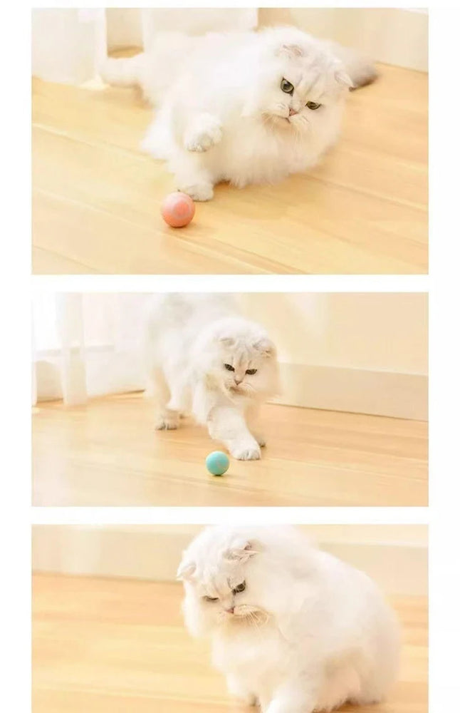 New Interactive Cat Ball Automatic Indoor Electric Roll Silicone Pet Toy MWJ01