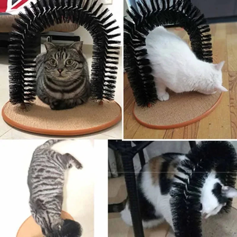 Cat Self Grooming Arch Massage Brush Scratching Tunnel Interactive Cat Toy Set