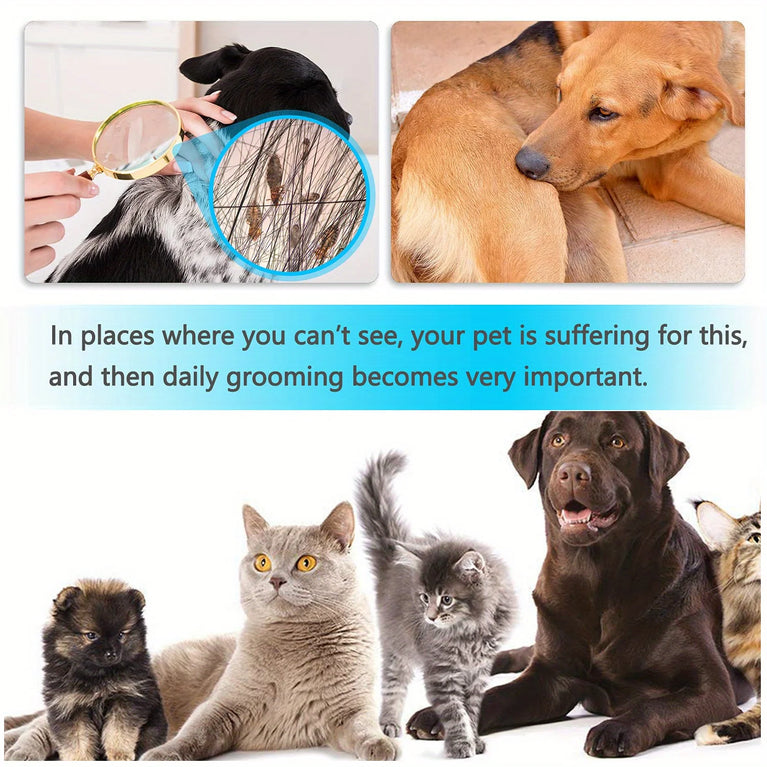 6PCS Flea Metal Lice Cat Dog Deshedding Grooming Comb Kit Tool Set