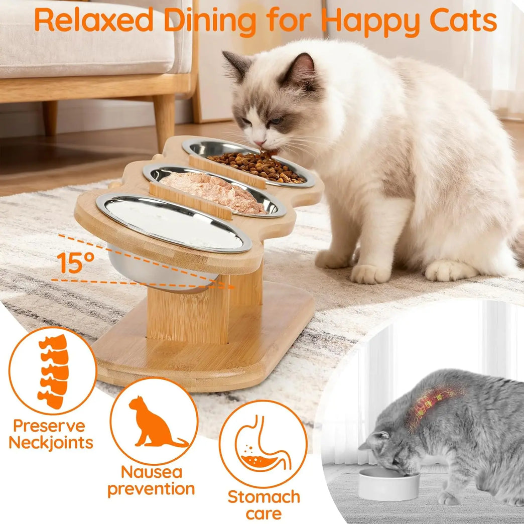 15° Tilted Raised Cat Bowls with Wooden Stand and 3 Steel Dishes