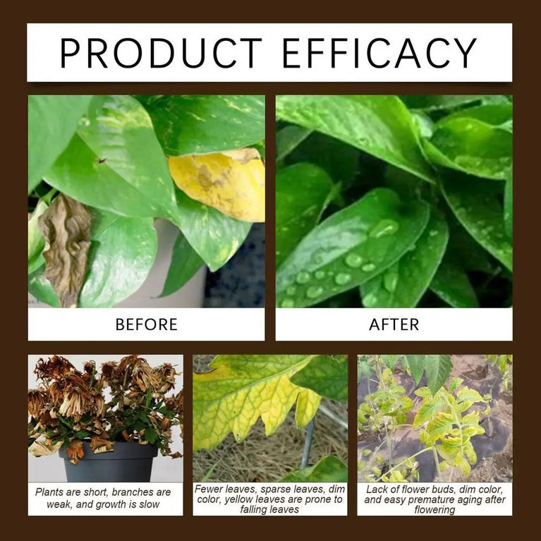 Natural Soil Activator | Rooting Promoter & Growth Loosening Agent