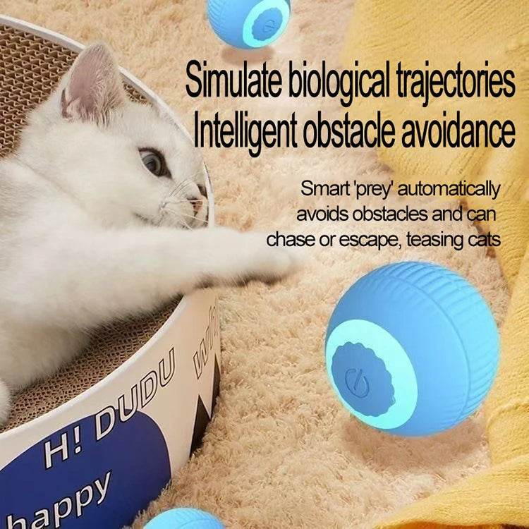 New Interactive Cat Ball Automatic Indoor Electric Roll Silicone Pet Toy MWJ01