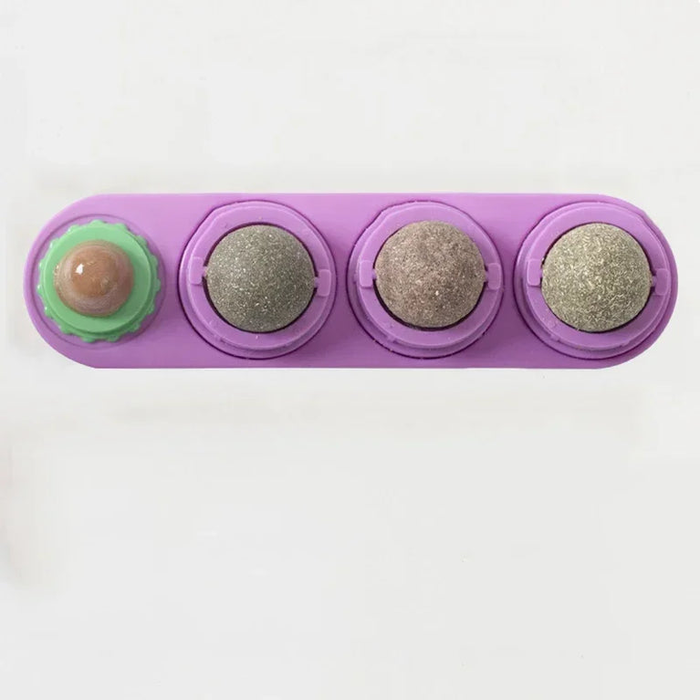 4 in 1 Rotating Catnip Silver Vine Ball Wall Stick Toy Kit