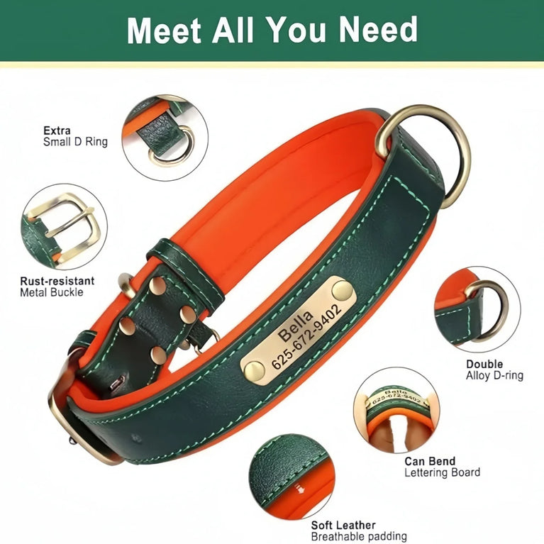 Personalized Leather Dog Collar | Padded ID Nameplate Collar