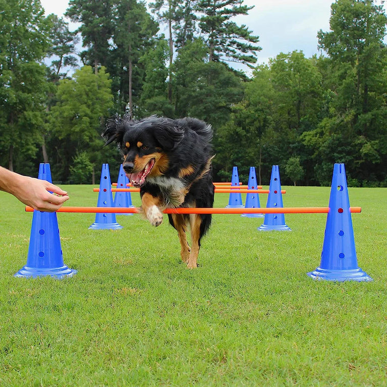 Dog Agility Training Set | Adjustable Hurdle & Jumping Bar