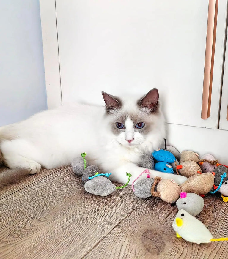 3PCS Rattle Cat Mouse Plush Catnip Filled Interactive Cat Toys Set for Indoor Play