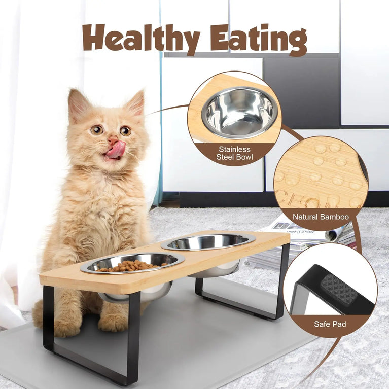 15° Tilted Raised Cat Bowls with Wooden Stand and 3 Steel Dishes