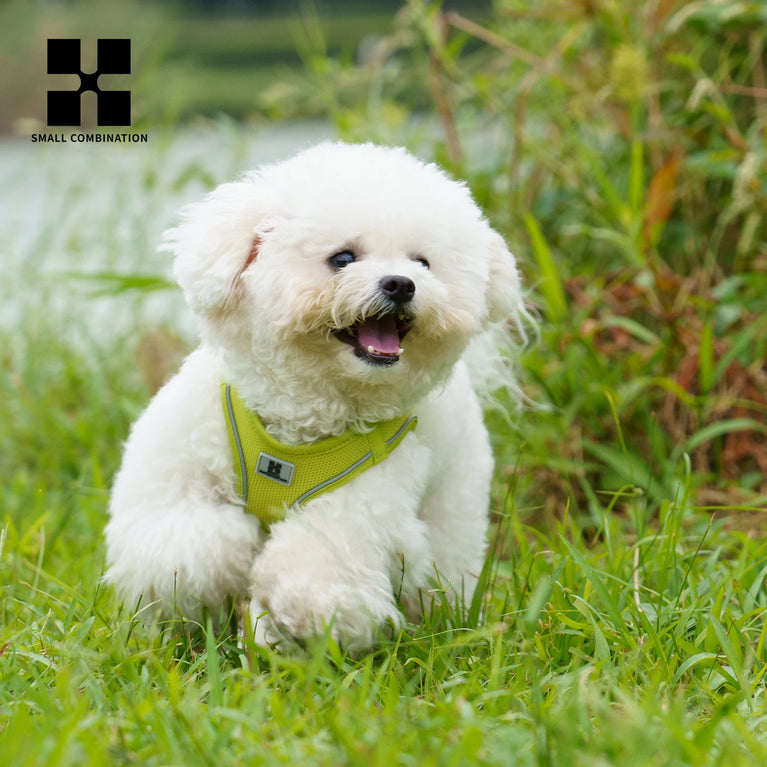 Adjustable Reflective Dog Harness Leash Set Step-In Soft Air Mesh Vest